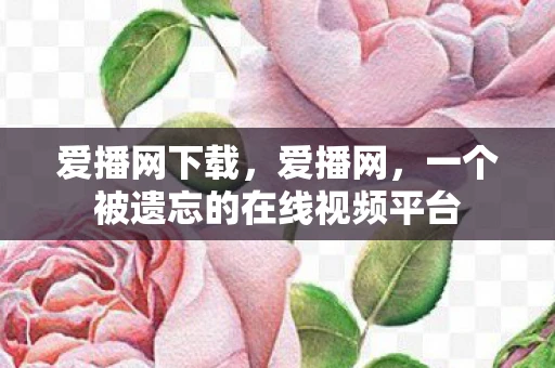 爱播网下载，爱播网，一个被遗忘的在线视频平台