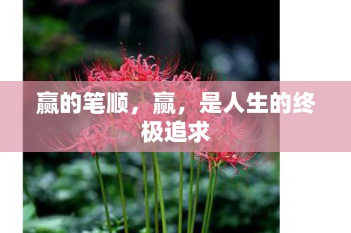 赢的笔顺，赢，是人生的终极追求