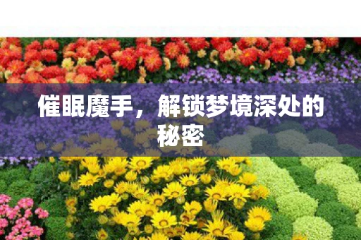 催眠魔手,解锁梦境深处的秘密 催眠魔手,解锁梦境深处的秘密