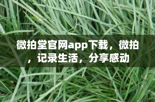 微拍堂官网app下载,微拍,记录生活,分享感动 微拍堂官网app下载,微拍,记录生活,分享感动