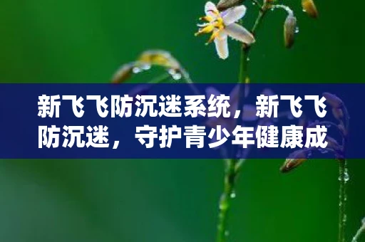 新飞飞防沉迷系统，新飞飞防沉迷，守护青少年健康成长
