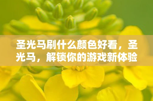 圣光马刷什么颜色好看，圣光马，解锁你的游戏新体验