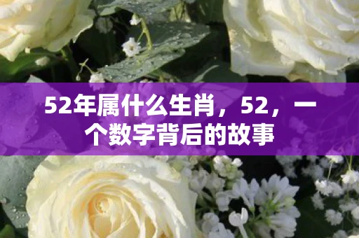 52年属什么生肖，52，一个数字背后的故事