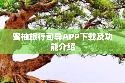 蜜柚旅行司导APP下载及功能介绍图片