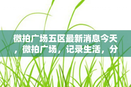 微拍广场五区最新消息今天,微拍广场,记录生活,分享美好 微拍广场五区最新消息今天,微拍广场,记录生活,分享美好