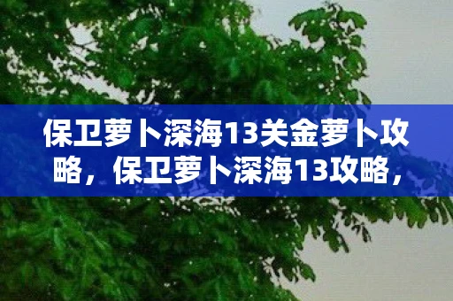 保卫萝卜深海13关金萝卜攻略,保卫萝卜深海13攻略,金萝卜布阵图详解 保卫萝卜深海13关金萝卜攻略,保卫萝卜深海13攻略,金萝卜布阵图详解