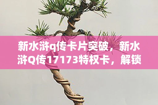 新水浒q传卡片突破,新水浒Q传17173特权卡,解锁专属福利,畅游水浒世界 新水浒q传卡片突破,新水浒Q传17173特权卡,解锁专属福利,畅游水浒世界