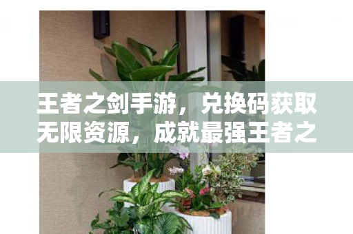 兑换码获取无限资源图片
