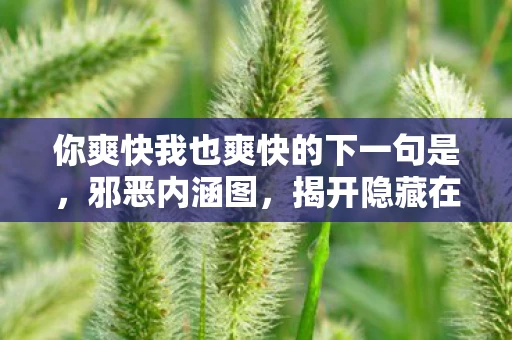 你爽快我也爽快的下一句是，邪恶内涵图，揭开隐藏在网络世界中的秘密