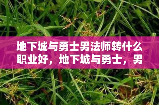 地下城与勇士男法师转什么职业好，地下城与勇士，男法师职业转型全解析