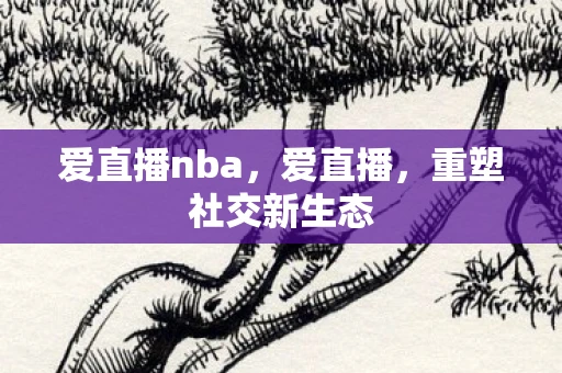 爱直播nba，爱直播，重塑社交新生态