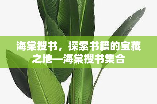 探索书籍的宝藏之地图片