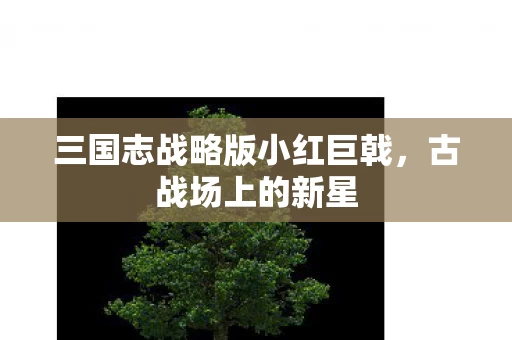 三国志战略版小红巨戟图片