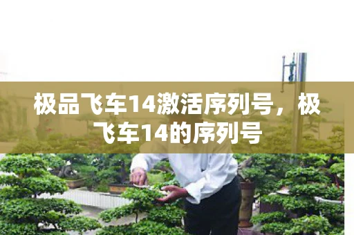极品飞车14激活序列号，极飞车14的序列号