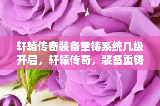 轩辕传奇装备重铸系统几级开启,轩辕传奇,装备重铸的奥秘与魅力 轩辕传奇装备重铸系统几级开启,轩辕传奇,装备重铸的奥秘与魅力