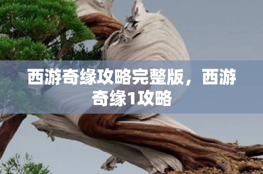 西游奇缘攻略完整版，西游奇缘1攻略