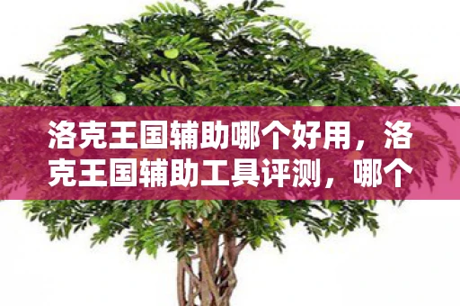 洛克王国辅助哪个好用,洛克王国辅助工具评测,哪个才是你的最佳选择? 洛克王国辅助哪个好用,洛克王国辅助工具评测,哪个才是你的最佳选择?