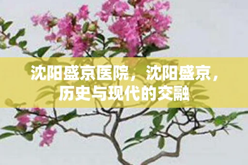 沈阳盛京医院，沈阳盛京，历史与现代的交融