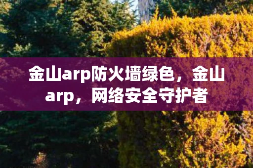 金山arp防火墙绿色,金山arp,网络安全守护者 金山arp防火墙绿色,金山arp,网络安全守护者