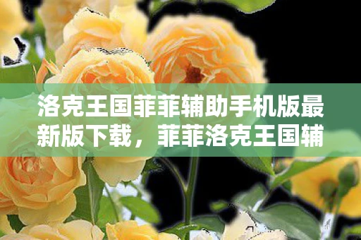 洛克王国菲菲辅助手机版最新版下载，菲菲洛克王国辅助最新版，解锁游戏新体验