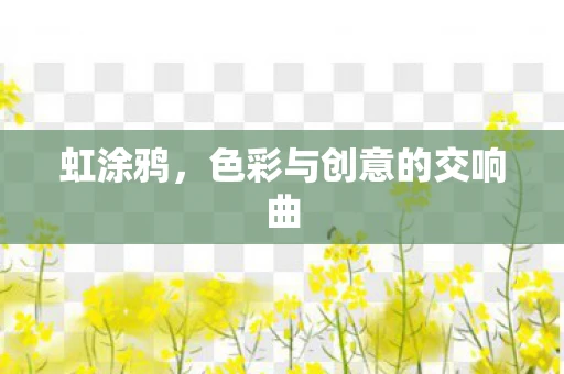 虹涂鸦，色彩与创意的交响曲