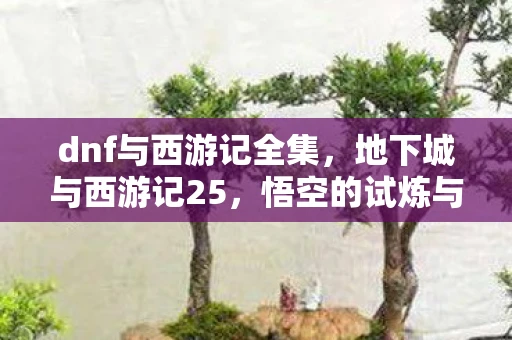 dnf与西游记全集，地下城与西游记25，悟空的试炼与觉醒