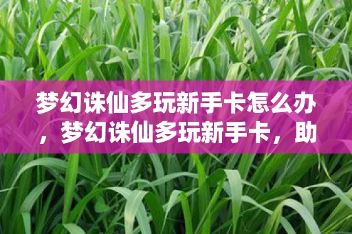 梦幻诛仙多玩新手卡怎么办，梦幻诛仙多玩新手卡，助你快速启程的神奇道具