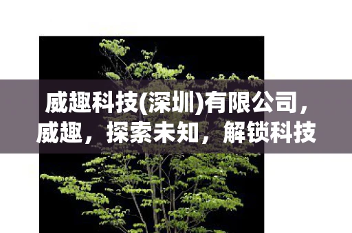 威趣科技(深圳)有限公司,威趣,探索未知,解锁科技新境界 威趣科技(深圳)有限公司,威趣,探索未知,解锁科技新境界