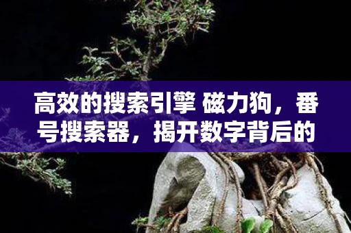 高效的搜索引擎 磁力狗，番号搜索器，揭开数字背后的秘密