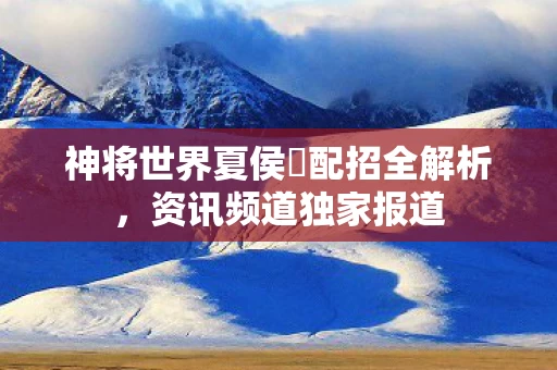 神将世界夏侯惇配招全解析图片
