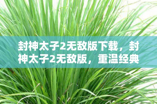 封神太子2无敌版下载,封神太子2无敌版,重温经典,挑战无限 封神太子2无敌版下载,封神太子2无敌版,重温经典,挑战无限