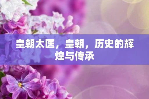 皇朝太医，皇朝，历史的辉煌与传承