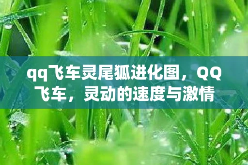 qq飞车灵尾狐进化图,QQ飞车,灵动的速度与激情 qq飞车灵尾狐进化图,QQ飞车,灵动的速度与激情
