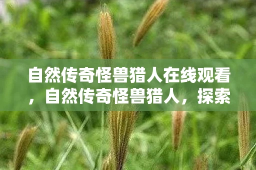 自然传奇怪兽猎人在线观看,自然传奇怪兽猎人,探索未知世界的神秘之旅 自然传奇怪兽猎人在线观看,自然传奇怪兽猎人,探索未知世界的神秘之旅