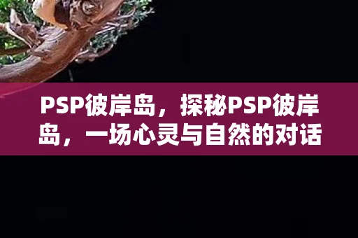 PSP彼岸岛,探秘PSP彼岸岛,一场心灵与自然的对话 PSP彼岸岛,探秘PSP彼岸岛,一场心灵与自然的对话