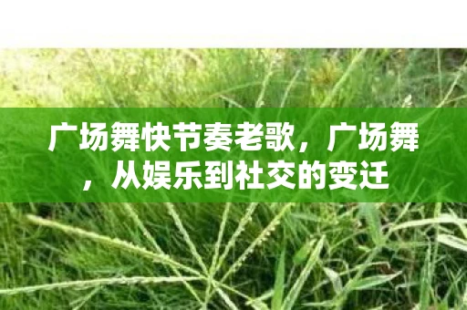 广场舞快节奏老歌，广场舞，从娱乐到社交的变迁