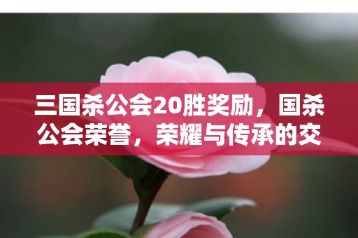 三国杀公会20胜奖励,国杀公会荣誉,荣耀与传承的交响曲 三国杀公会20胜奖励,国杀公会荣誉,荣耀与传承的交响曲