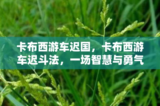 卡布西游车迟国，卡布西游车迟斗法，一场智慧与勇气的较量