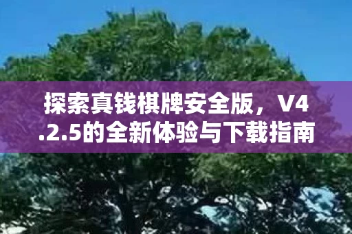 5的全新体验与下载指南图片