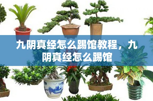 九阴真经怎么踢馆教程,九阴真经怎么踢馆 九阴真经怎么踢馆教程,九阴真经怎么踢馆