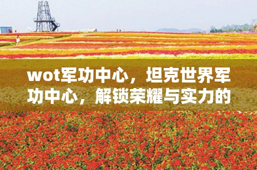 wot军功中心，坦克世界军功中心，解锁荣耀与实力的象征