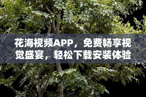 免费畅享视觉盛宴图片