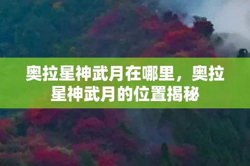 奥拉星神武月在哪里，奥拉星神武月的位置揭秘