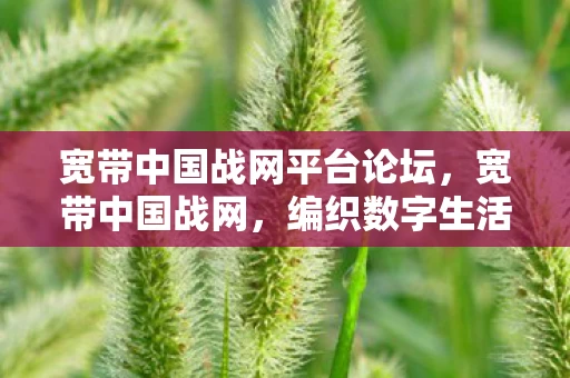 宽带中国战网平台论坛，宽带中国战网，编织数字生活的未来