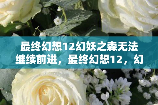 最终幻想12幻妖之森无法继续前进，最终幻想12，幻之传奇的深刻解析