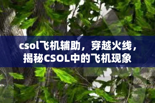csol飞机辅助，穿越火线，揭秘CSOL中的飞机现象