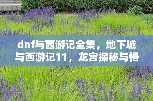 dnf与西游记全集,地下城与西游记11,龙宫探秘与悟空的试炼 dnf与西游记全集,地下城与西游记11,龙宫探秘与悟空的试炼