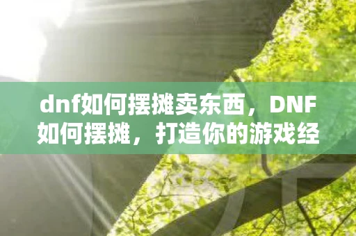 dnf如何摆摊卖东西，DNF如何摆摊，打造你的游戏经济帝国