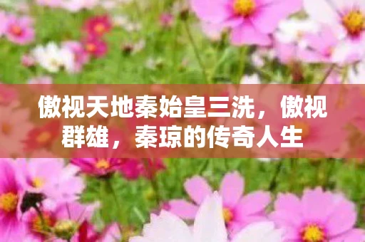 傲视天地秦始皇三洗，傲视群雄，秦琼的传奇人生