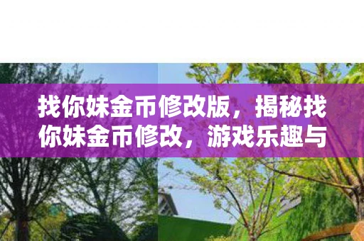 找你妹金币修改版，揭秘找你妹金币修改，游戏乐趣与规则的边界